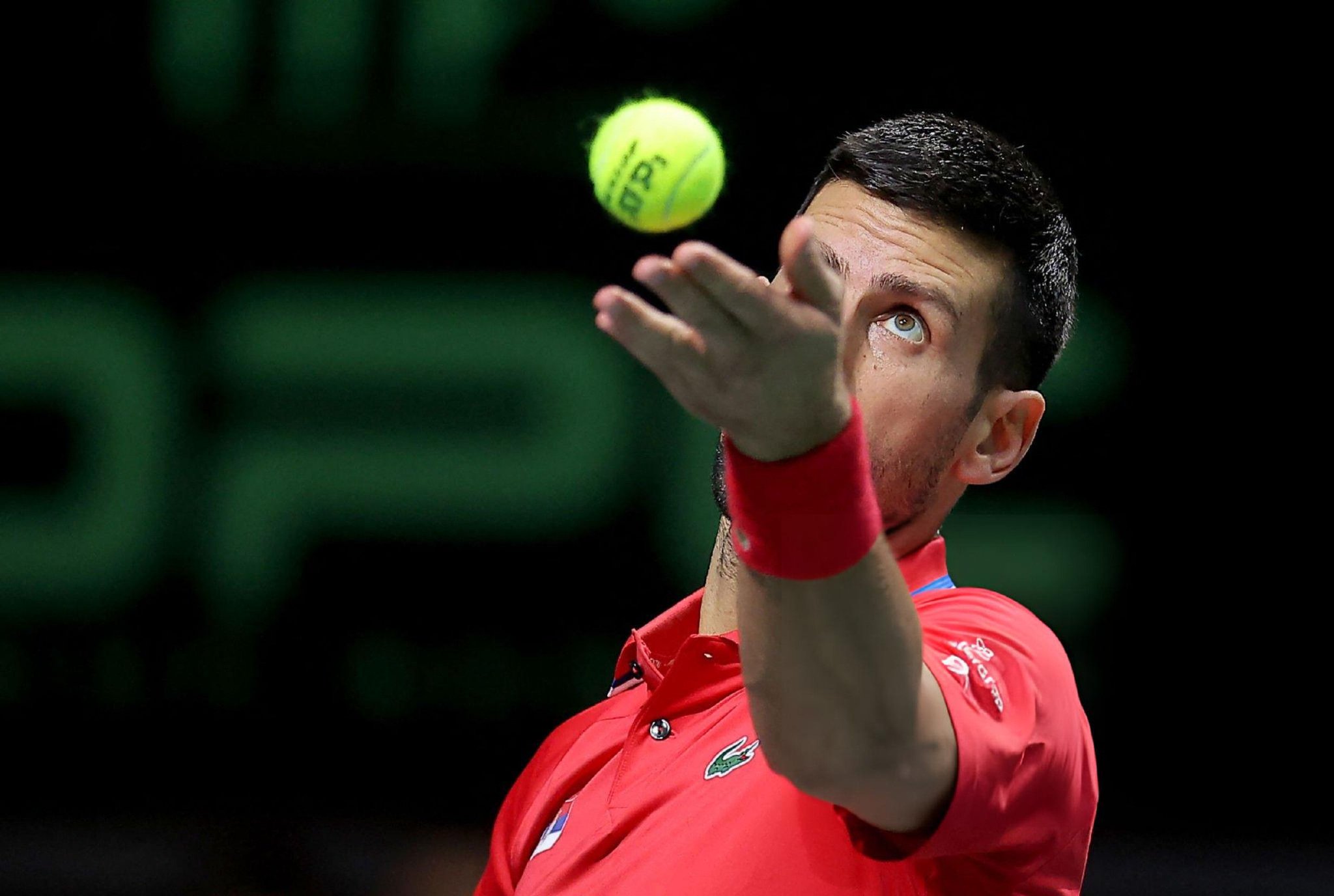 戴维斯杯绝杀ATP总决赛,德约科维奇刷新纪录 戴维斯杯绝杀ATP总决赛,德约科维奇刷新纪录