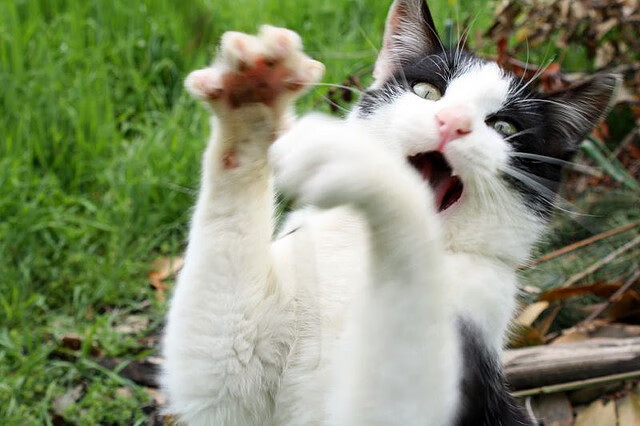 爱游戏入口-终极一投撕裂绿衫军防线，锡安关键制胜展现统治力