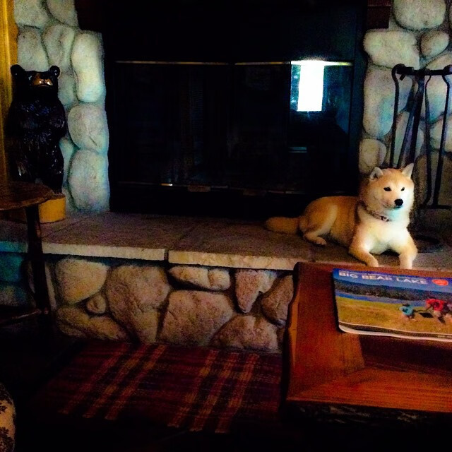 爱游戏大厅-意识之网，英格兰鏖战日耳曼，奥恰洛夫率铁骑破敌