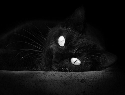 唯一辛纳，魔术拉沃尔杯，风暴席卷美网