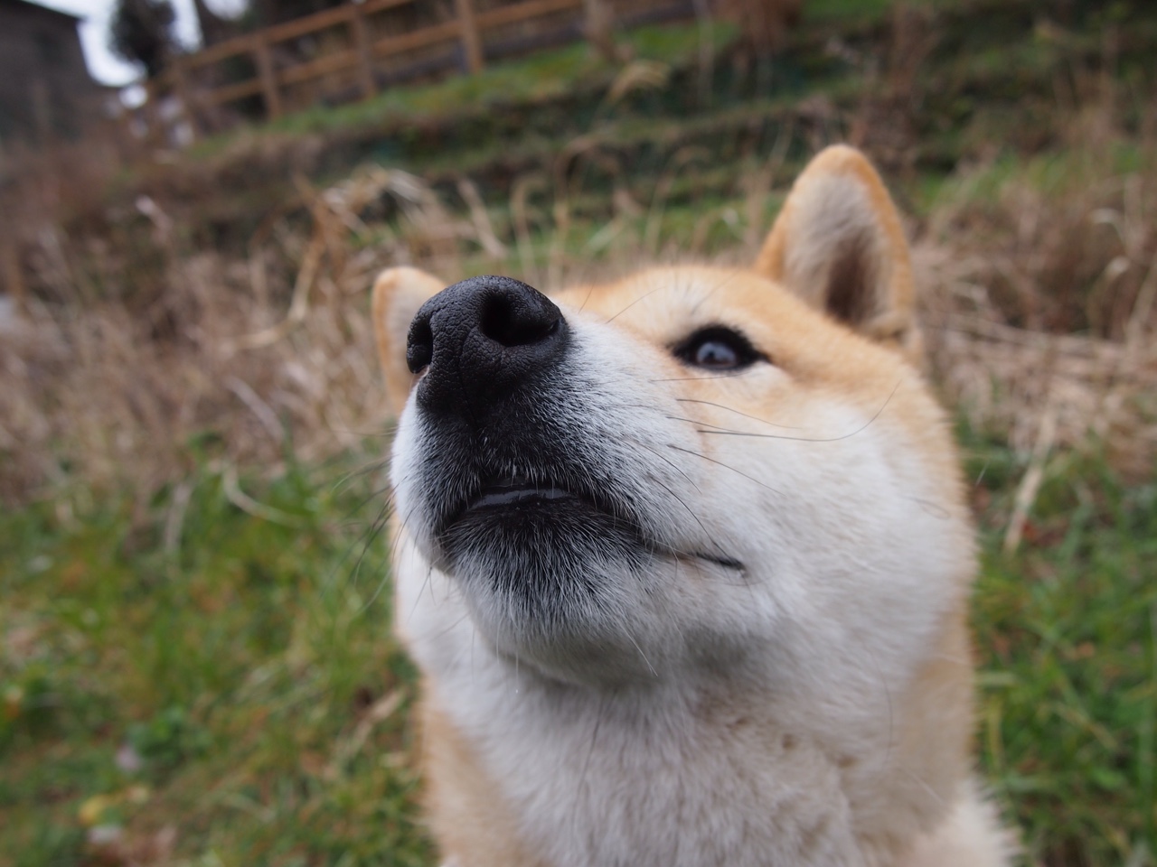 爱游戏体育-渡江战役，布伦森孤胆扛旗，江苏队惊世逆转火箭