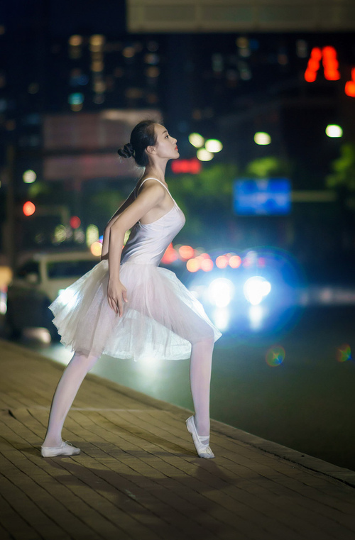 唯一解,范弗利特与那道悬了28年的数学题