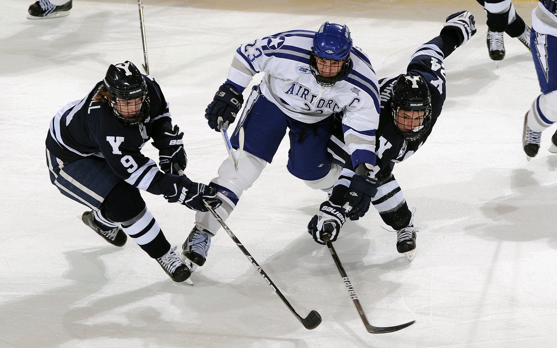 隔山打牛,戈贝尔在深圳的篮下,投下法式巨影
