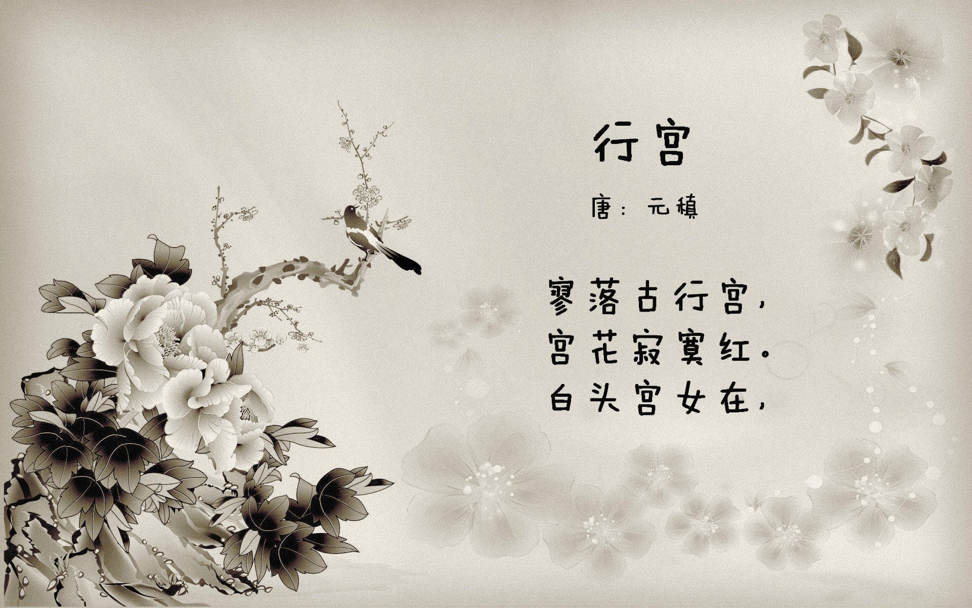 野性与秩序的碰撞,范弗利特跨刀助森林狼力斩独行侠