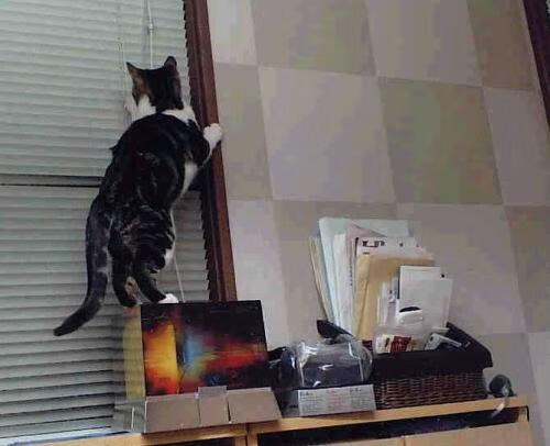 爱游戏体育-劳塔罗全场最佳无争议彰显领袖风范，乌克兰轻取韩国展现实力碾压—国际足坛双星闪耀夜