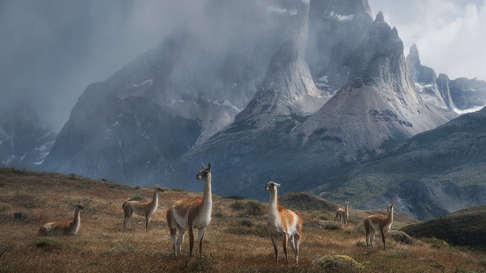 爱游戏在线-风暴眼中的独舞者，乔治在世界排名争夺战之夜的完全节奏掌控