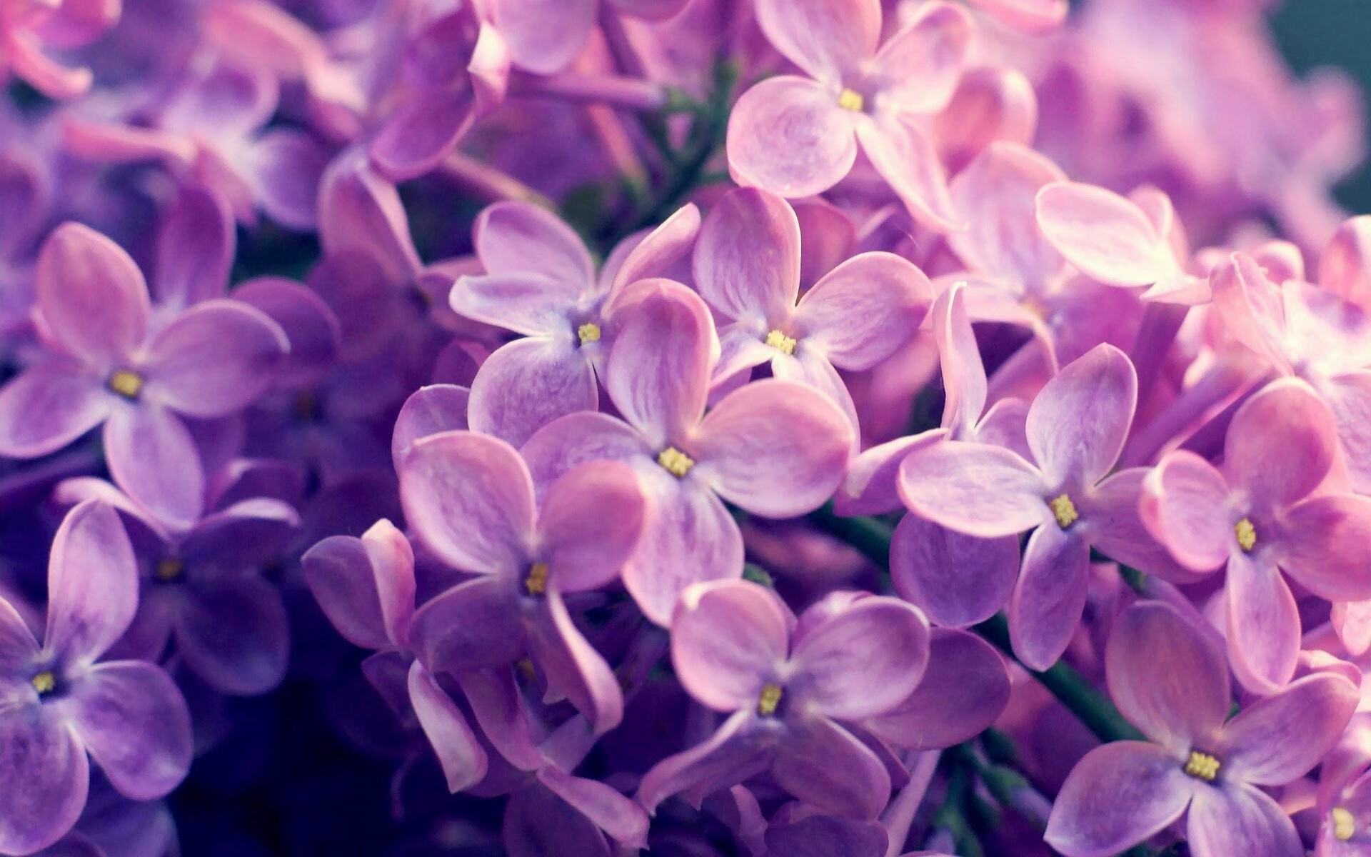 乔治流星雨撕裂夜空，连续单打助湖人两分险胜雷霆