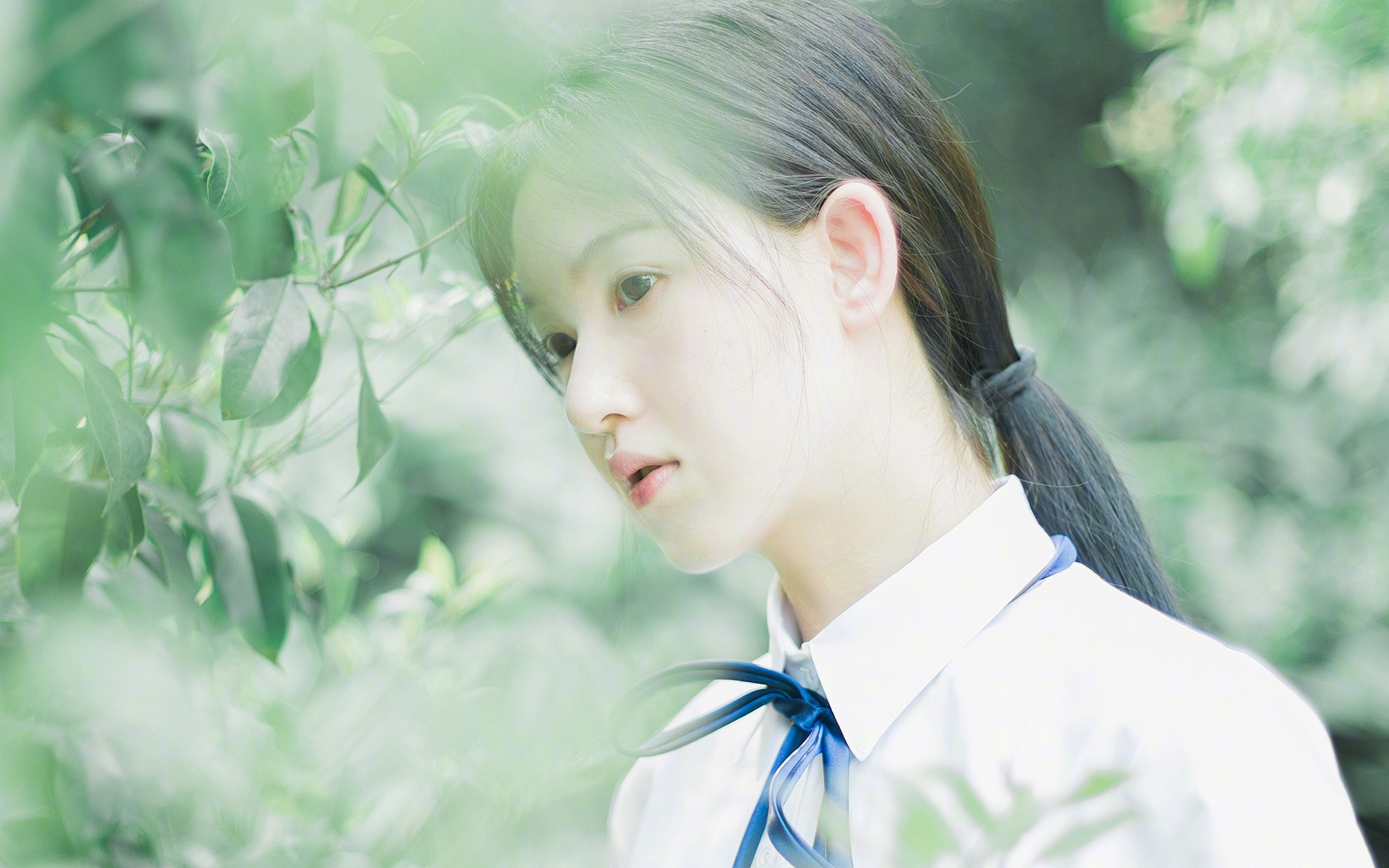 铁壁的共鸣，从上海滩到明尼苏达，防守如何改写比赛基因