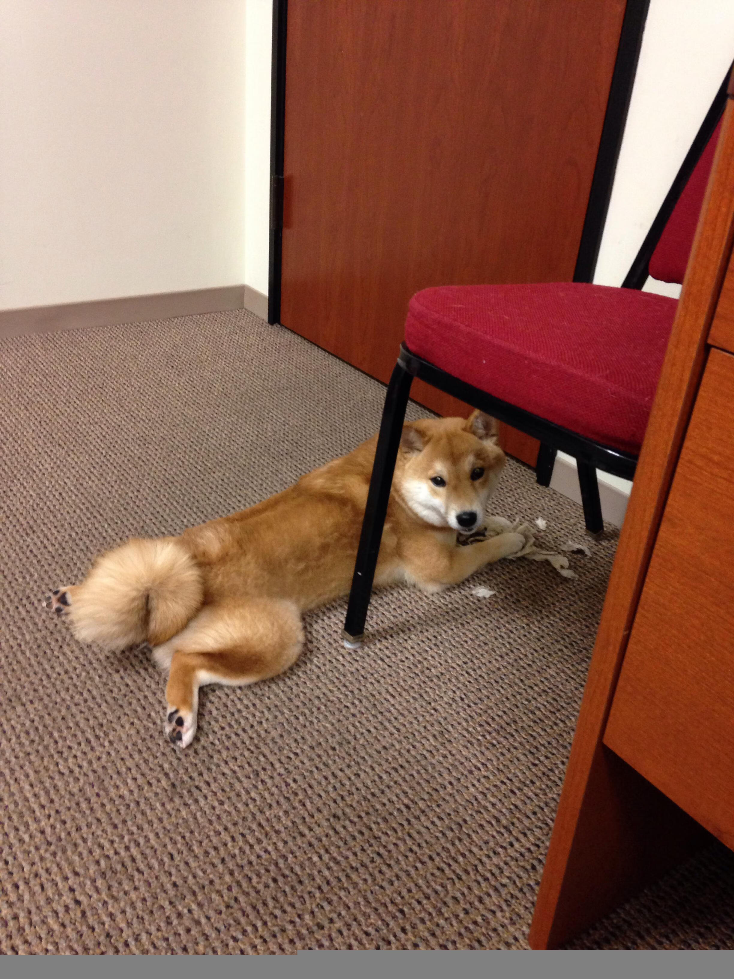 爱游戏官网-当39岁的勒布朗抬头望去，文班亚马正在他面前表演天赋的轮回