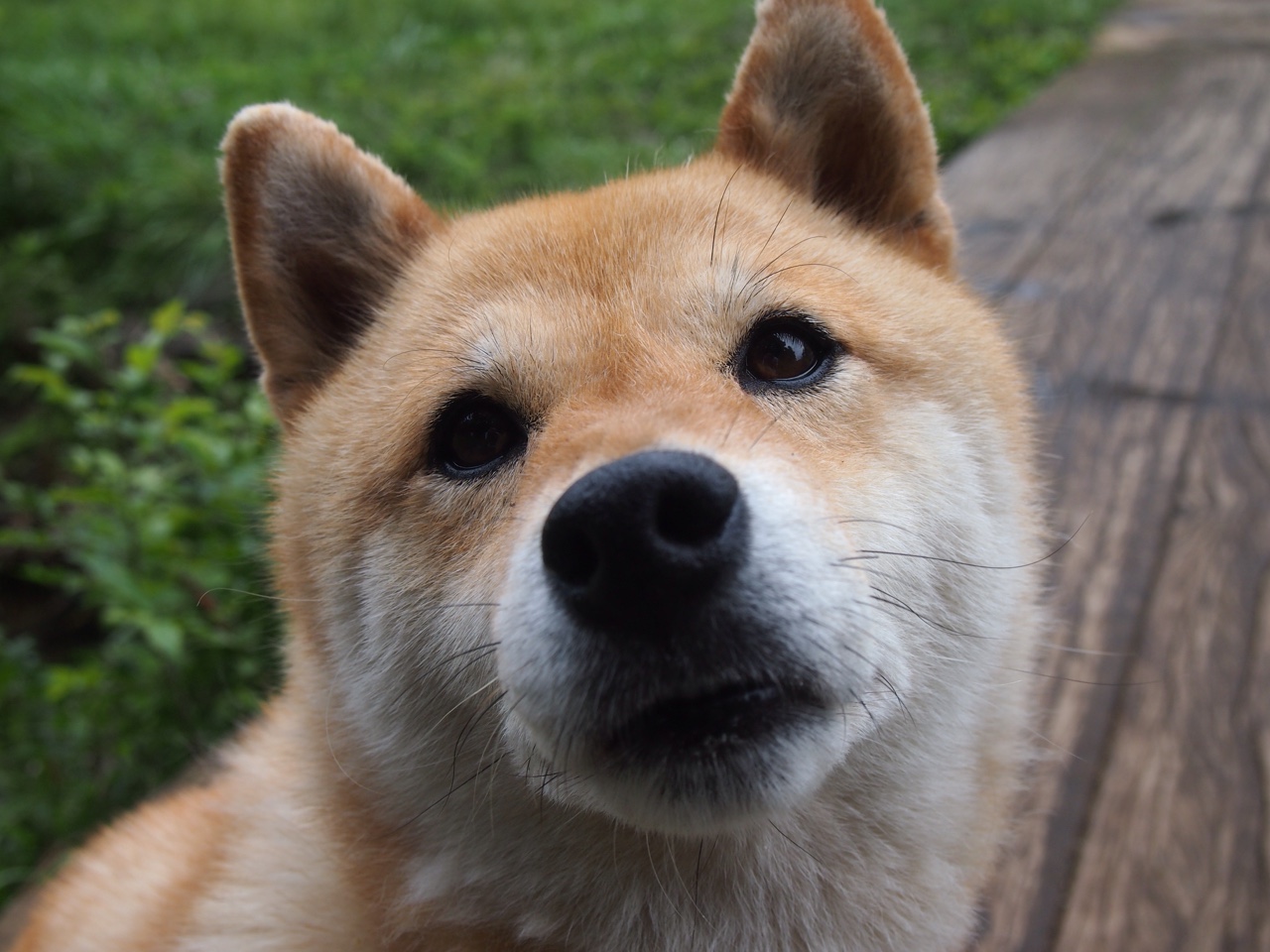 撕裂与窒息,班凯罗暴力美学撕裂防线,步行者窒息防守锁死山西命脉