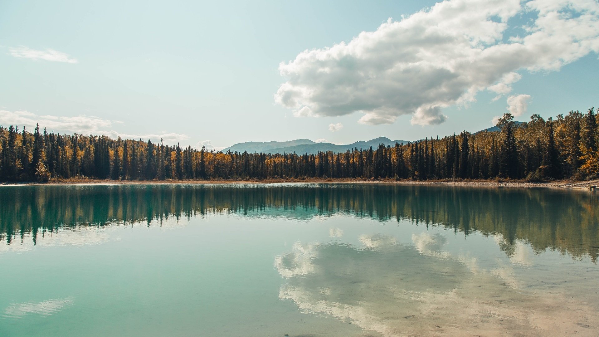 爱游戏官方-阿根廷掀翻智利，萨拉赫一剑封喉的唯一性解读