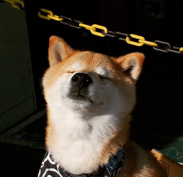 赛道上的另一场战争，F1新赛季揭幕战与乌克兰对冰岛的压制