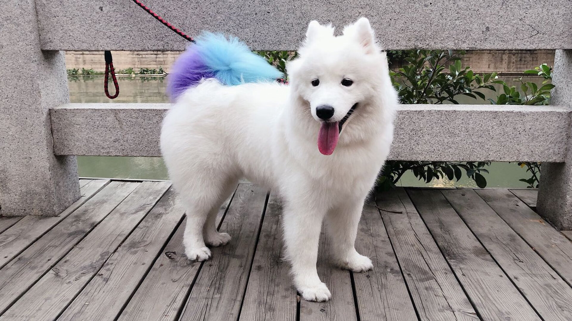 跨时空的决战，当马刺银黑风暴席卷辽宁，爱德华兹在最后三分钟改写命运