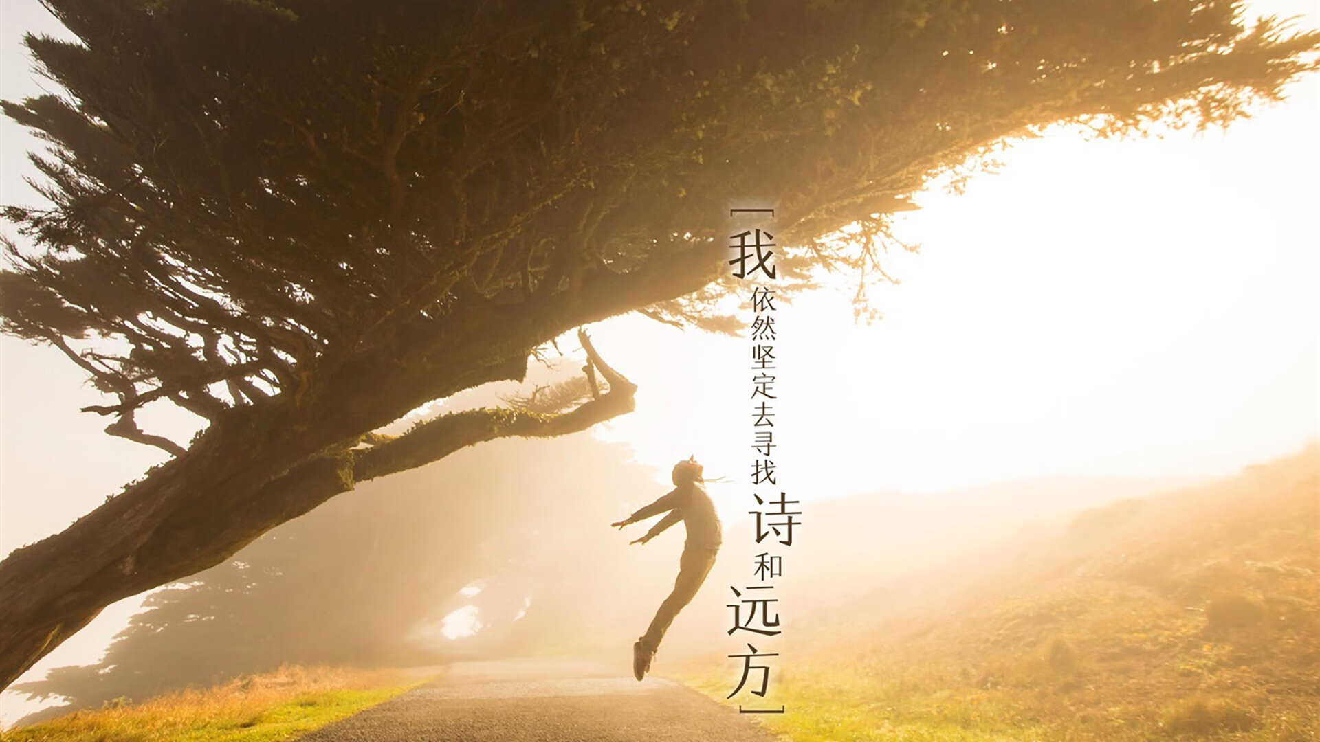 爱德华兹单骑卷飓风，尼克斯合围筑冰川，个人英雄与团队铁壁的冰与火之歌