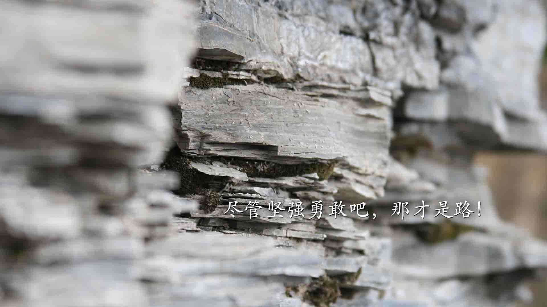黄沙掩不住锋刃，当喀麦隆的雄狮之吼撕裂波斯铁骑，莱万用足球写下唯一答案
